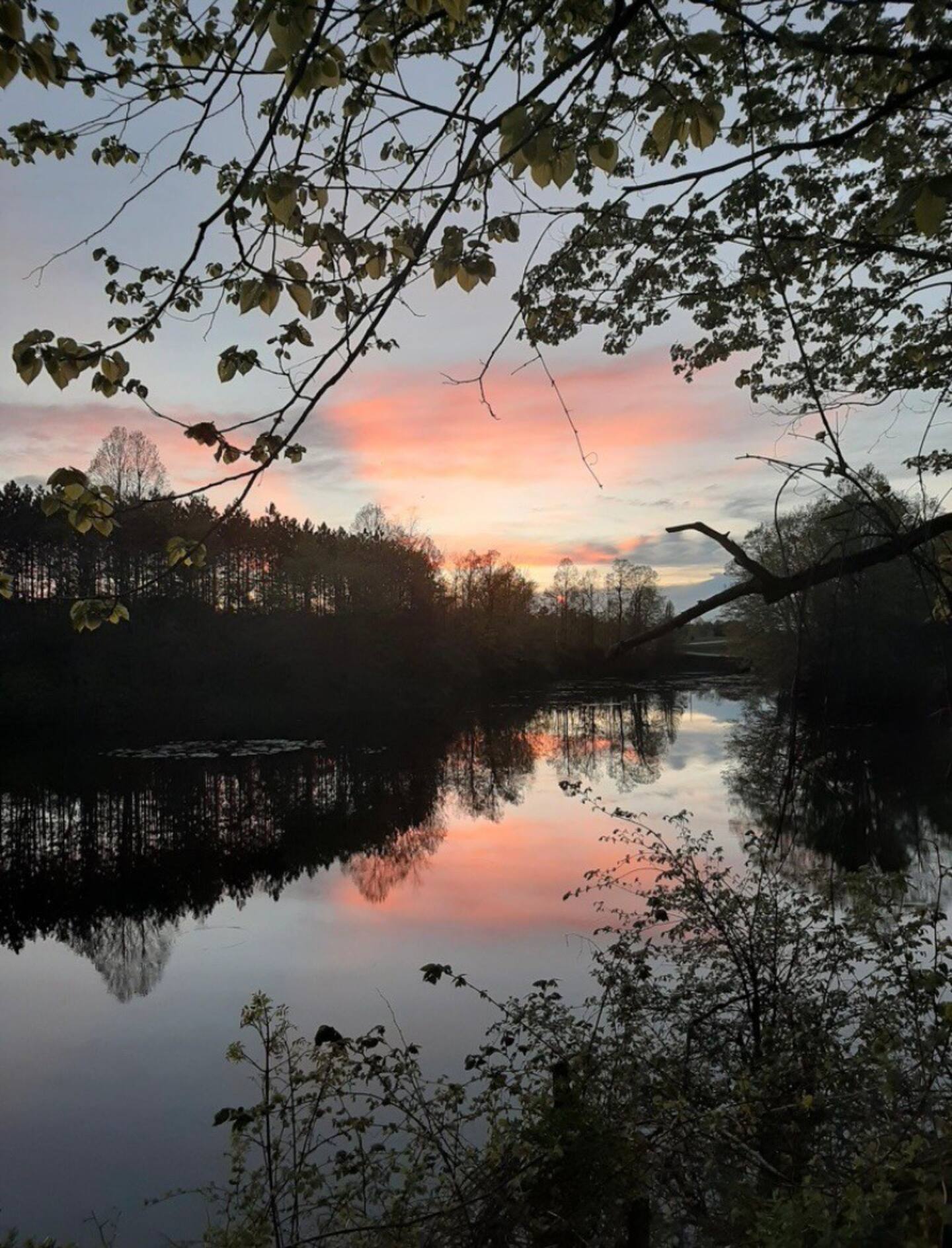 Sunset reflected on the lake